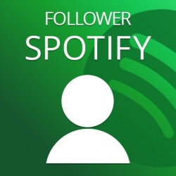 Follower Spotify