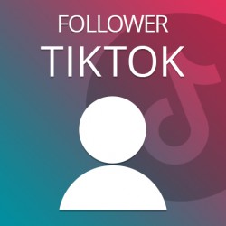 Follower TikTok